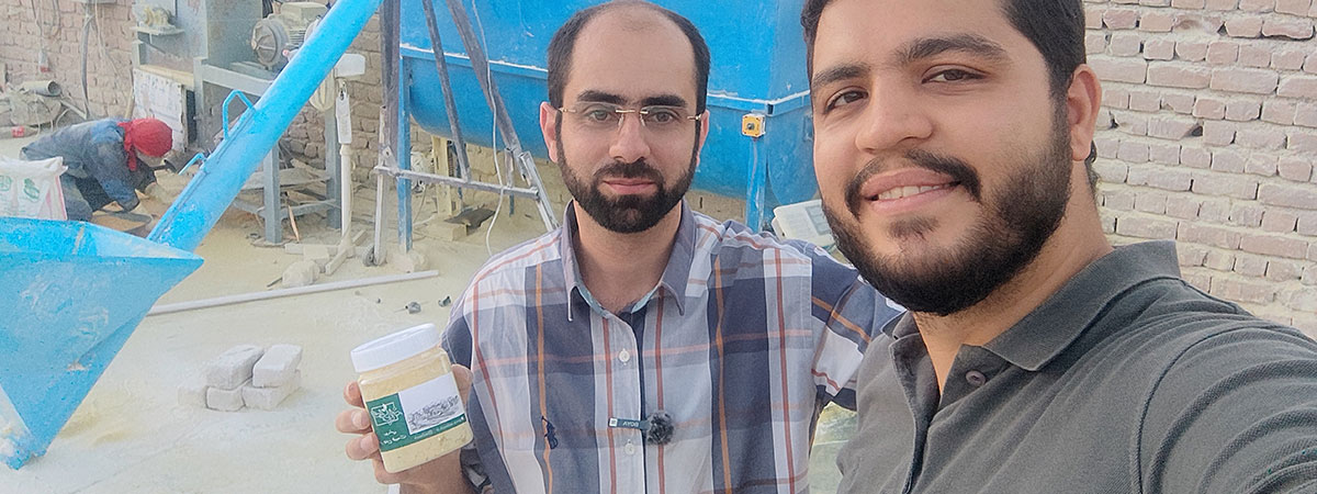 روش تولید نوره زرنیخ طلایی