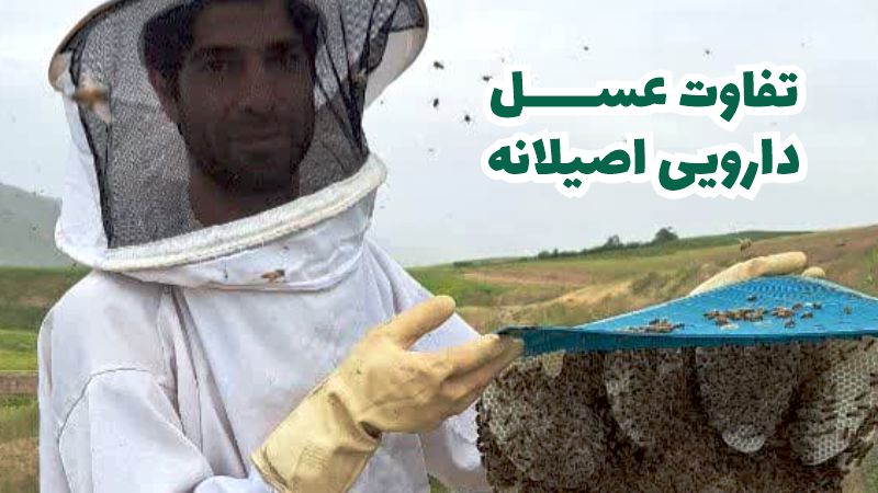 تفاوت عسل دارویی با عسل معمولی