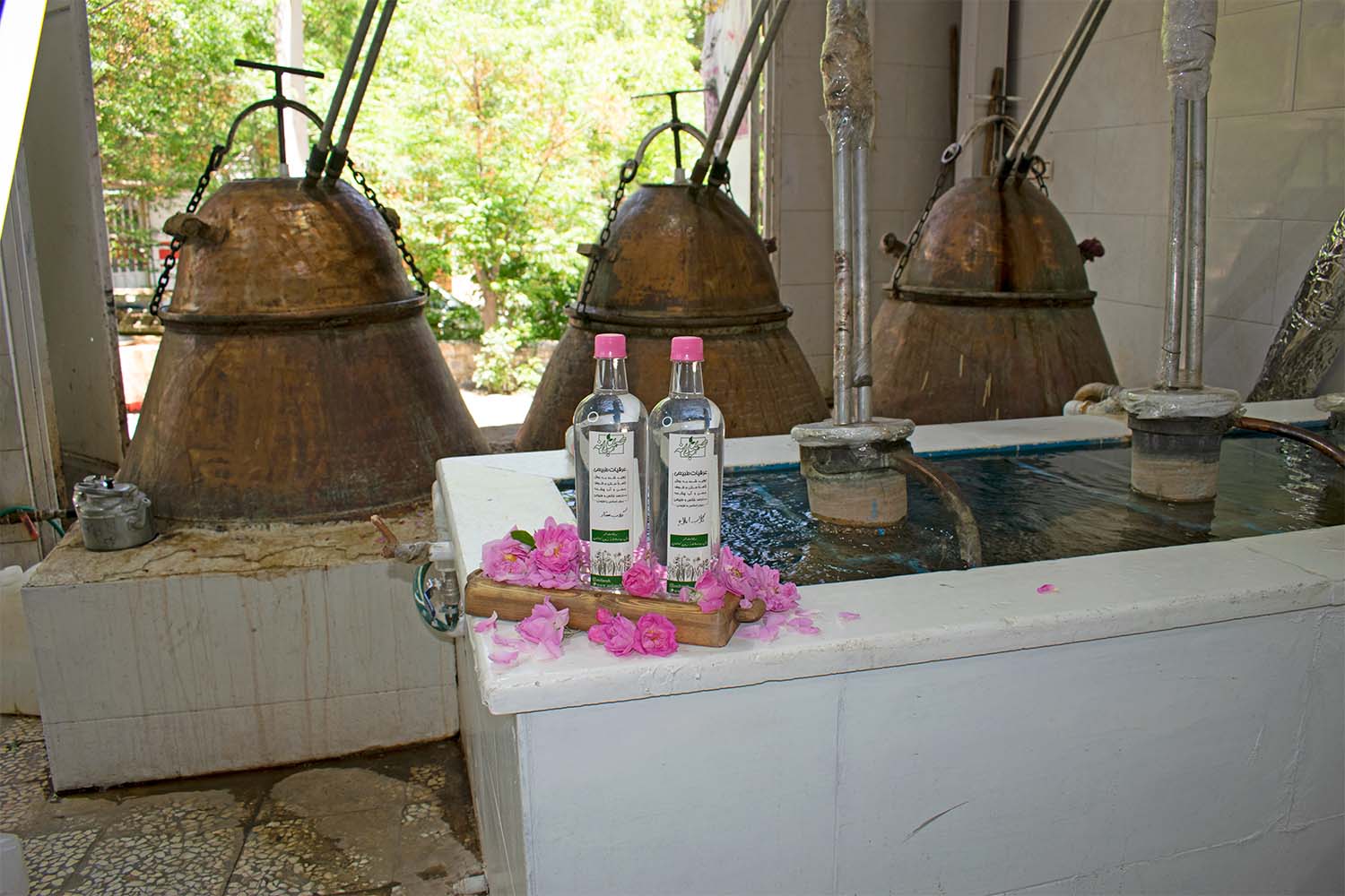 گلاب سنتی اصیلانه