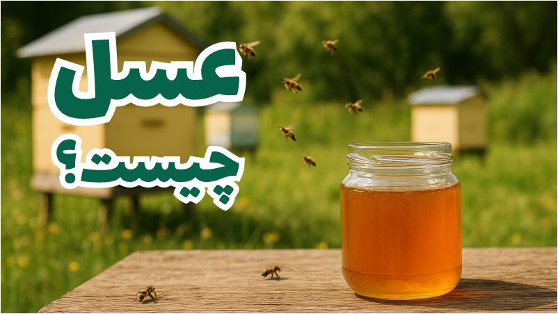 عسل چیست؟