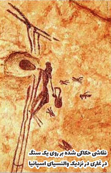 نقاشی مرد باستانی در حال برداشت عسل در اسپانیا