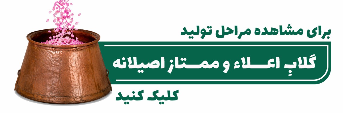 مراحل تولید گلاب سنتی اصیلانه